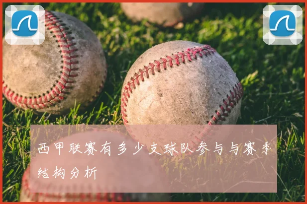 西甲联赛有多少支球队参与与赛季结构分析