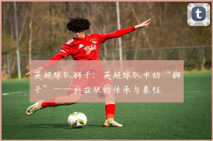 英超球队狮子：英超球队中的“狮子”——利兹联的传承与象征