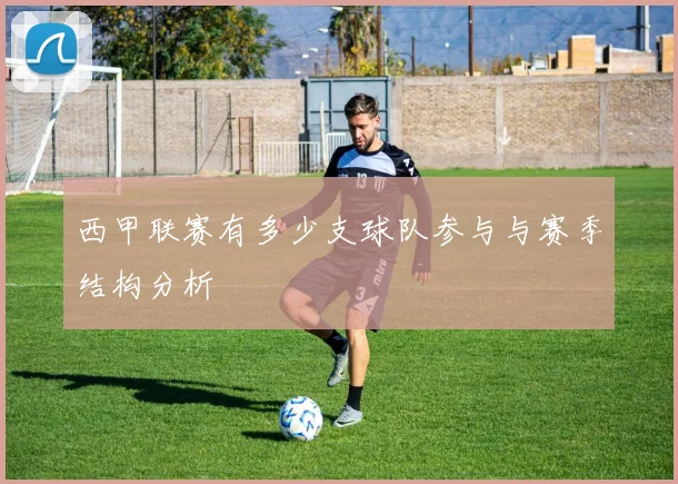 西甲联赛有多少支球队参与与赛季结构分析